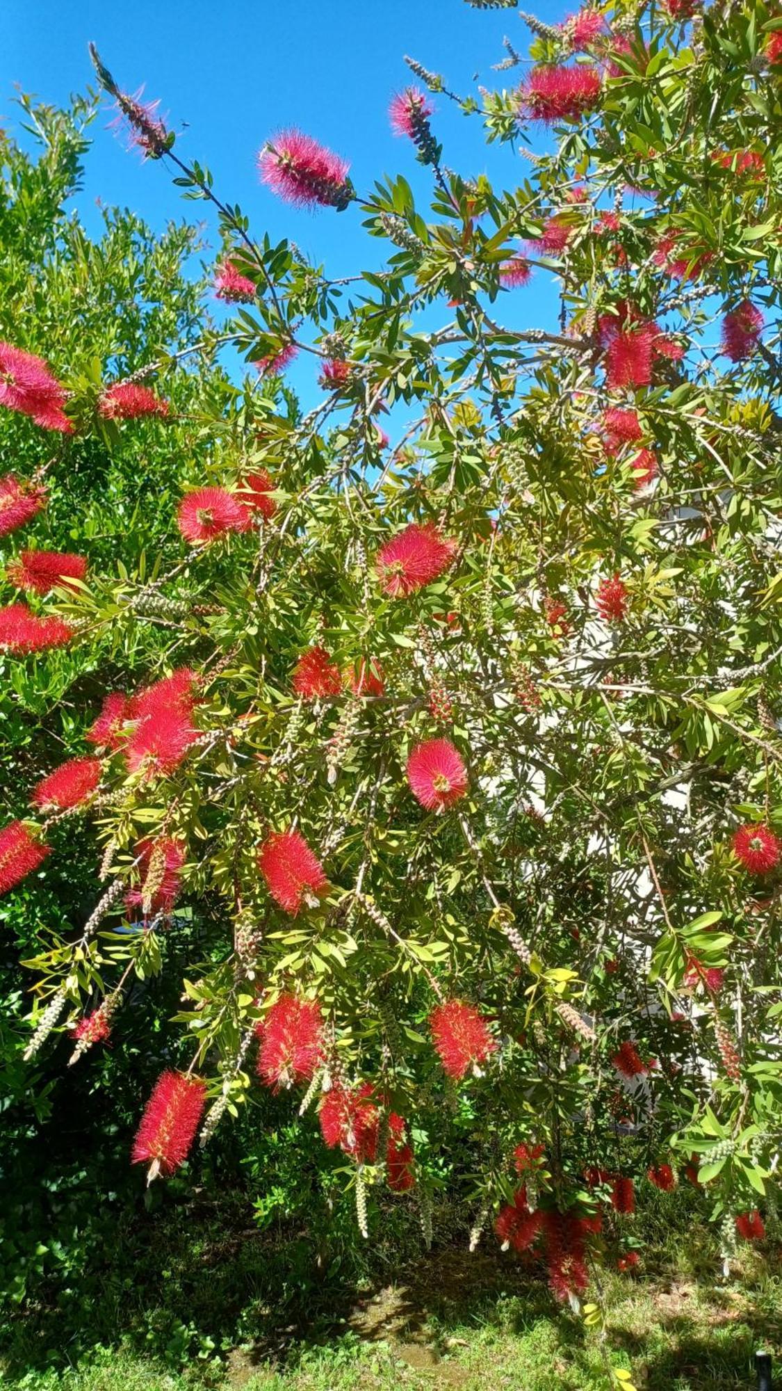 Agriturismo Colleverde كابالبيو المظهر الخارجي الصورة