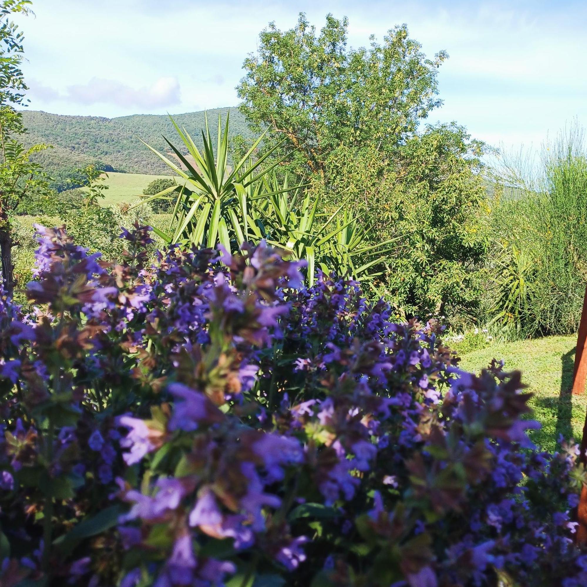 Agriturismo Colleverde كابالبيو المظهر الخارجي الصورة