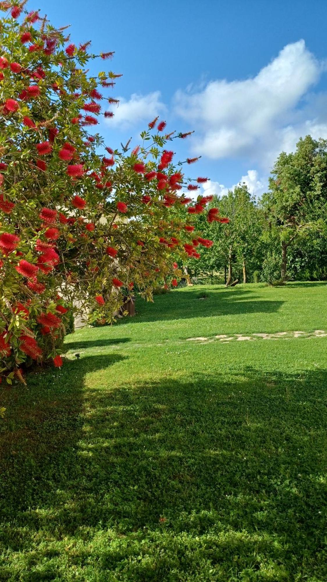 Agriturismo Colleverde كابالبيو المظهر الخارجي الصورة