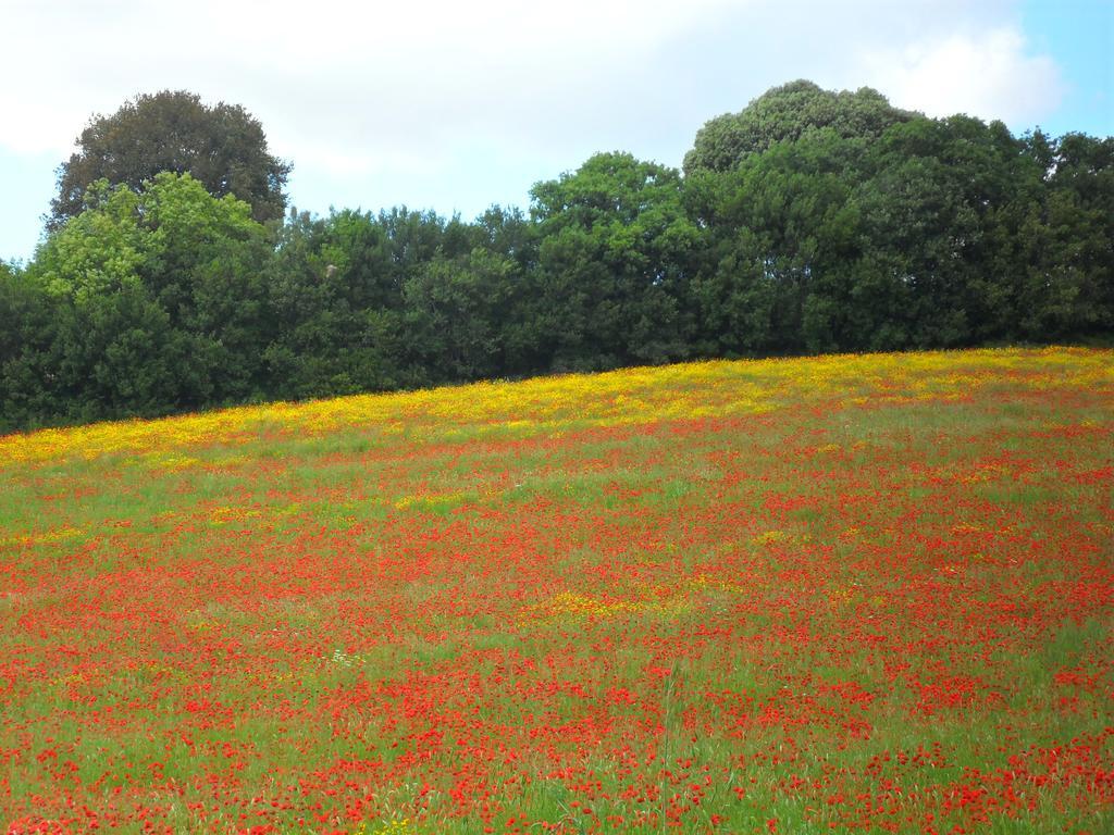 Agriturismo Colleverde كابالبيو المظهر الخارجي الصورة