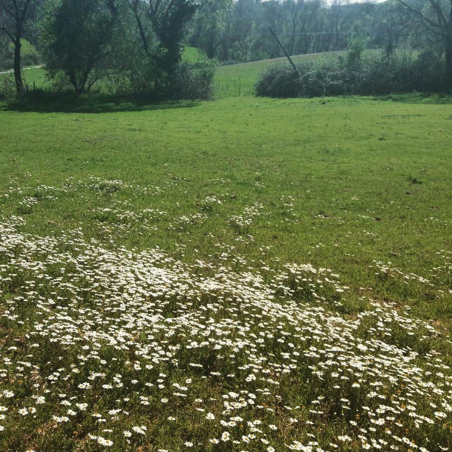 Agriturismo Colleverde كابالبيو المظهر الخارجي الصورة